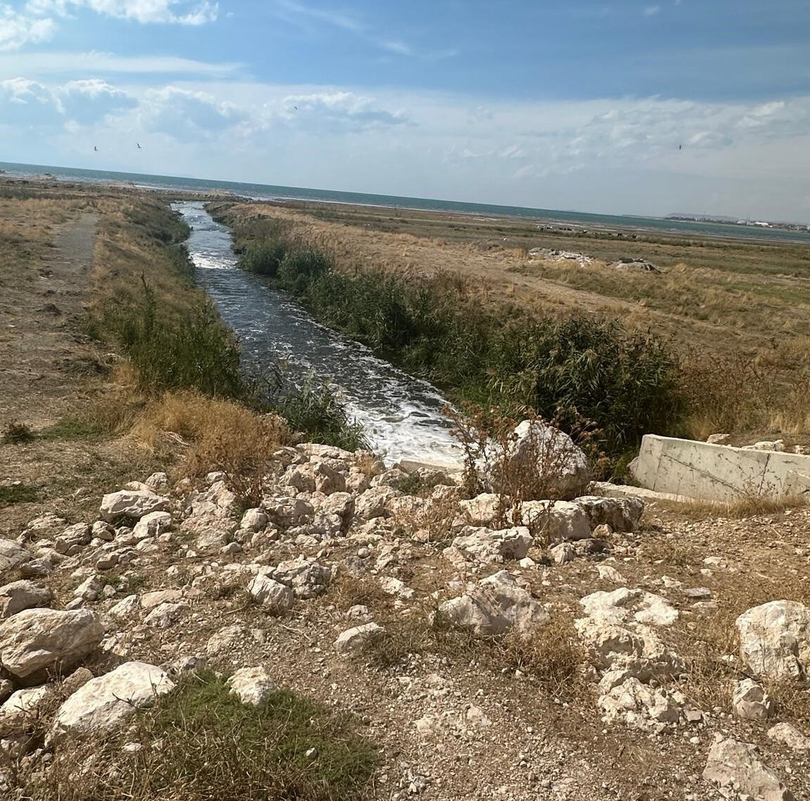Bakanlık acımadı! Büyükşehir Belediyesine 1 milyonluk 'kaçak deşarj' cezası - 1. Resim
