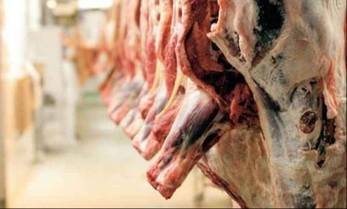 Bilmeden domuz eti yemek günah mıdır? İslam'da yiyip içmesi haram olan şeyler - 3. Resim