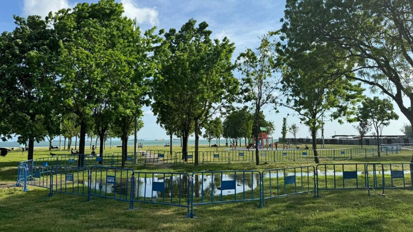 Edanur Gezer'in ölümünde yeni gelişme! İstanbul Valiliği'nden İBB'deki 3 memura soruşturma izni! - 1. Resim