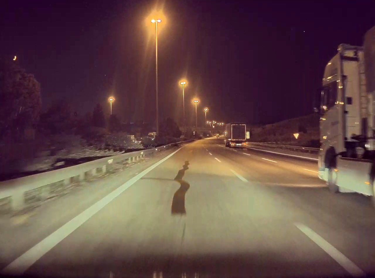 Türk mühendis Tesla'ya dava açtı! Hukuk mücadelesini kazanınca aldığı kararla şaşırttı - 1. Resim