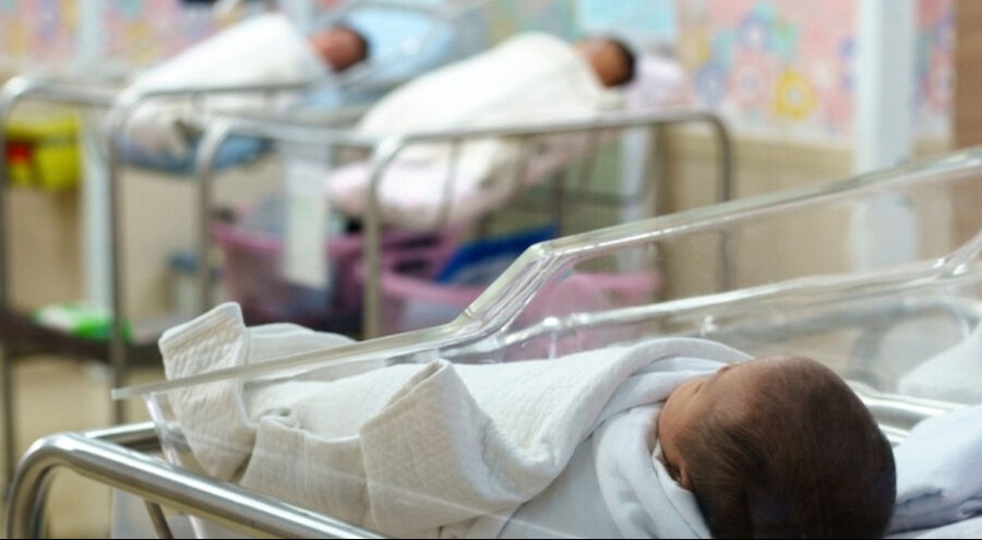 Yenidoğan şebekesinden İstanbul ve Tekirdağ'da 1 milyar TL'lik vurgun! 12 bebek ihmalden hayatını kaybetti - 1. Resim