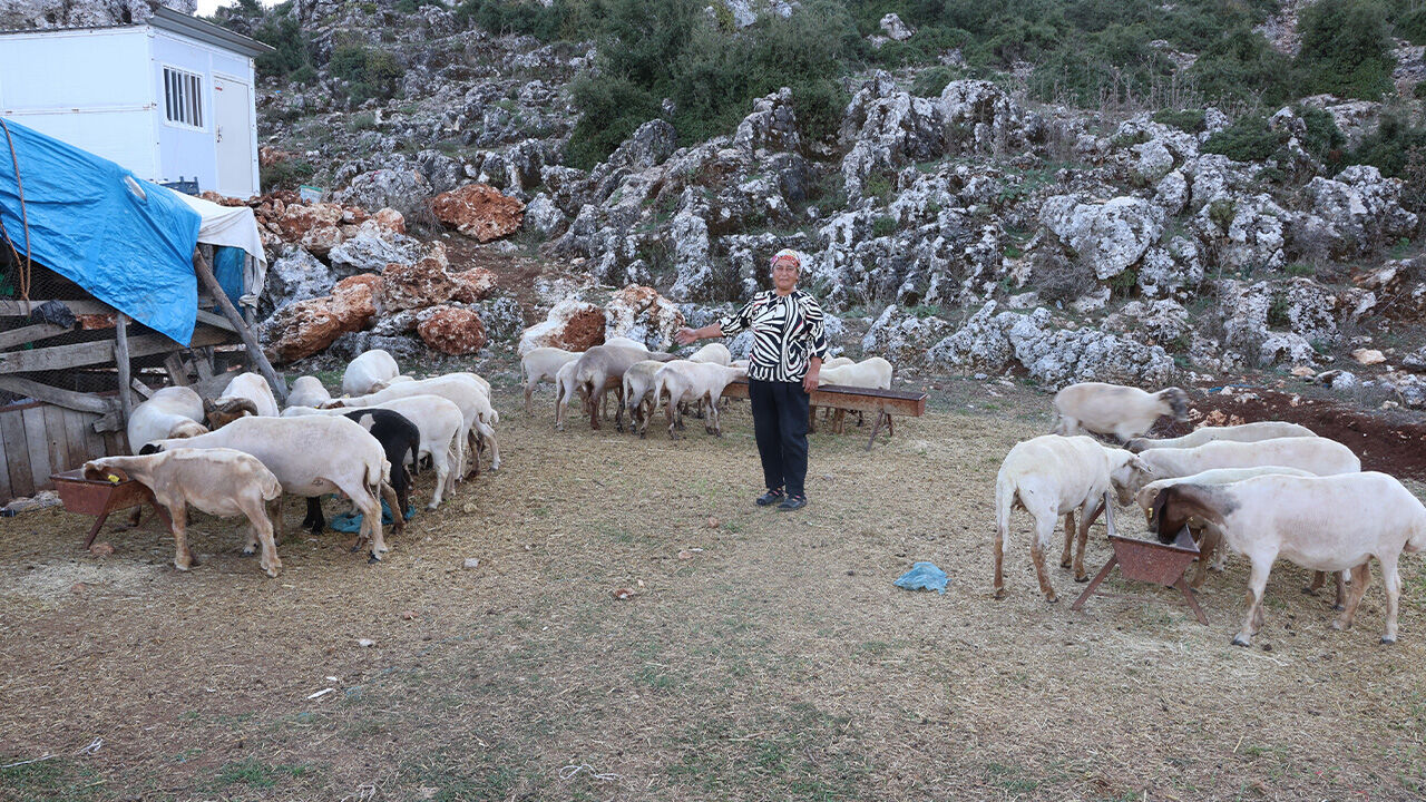 8 yıl önce devlet desteği aldı, kazancını katladı! Şimdi evi ve arabası var 8 yıl önce devlet desteği aldı, kazancını katladı! Şimdi evi ve arabası var - 4. Resim