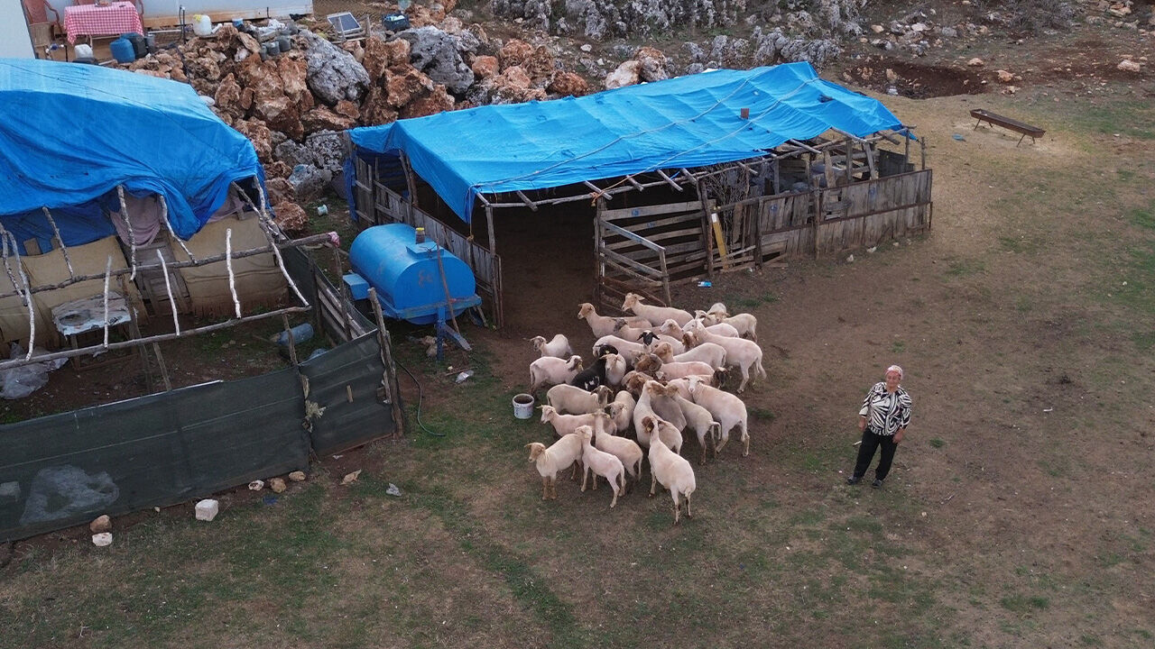 8 yıl önce devlet desteği aldı, kazancını katladı! Şimdi evi ve arabası var 8 yıl önce devlet desteği aldı, kazancını katladı! Şimdi evi ve arabası var - 2. Resim
