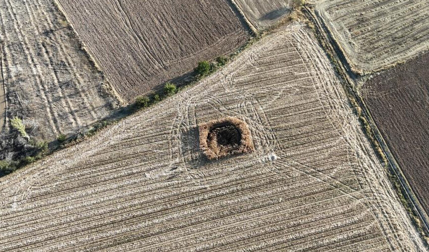 Mısır tarlasında oluştu, görenler şaşkına döndü! Bir ev büyüklüğünde... Mısır tarlasında oluştu, görenler şaşkına döndü! Bir ev büyüklüğünde... - 5. Resim