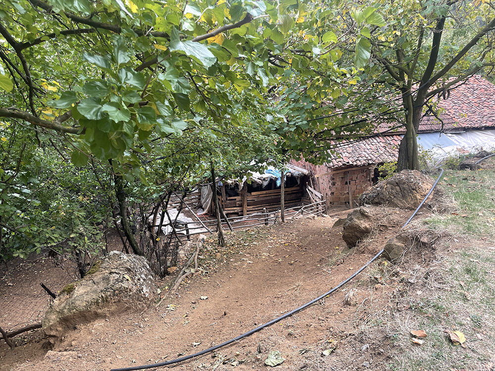 Bursa'da dehşet evi! 16 yaşındaki cani balta ile 3 kişiyi öldürdü - 3. Resim