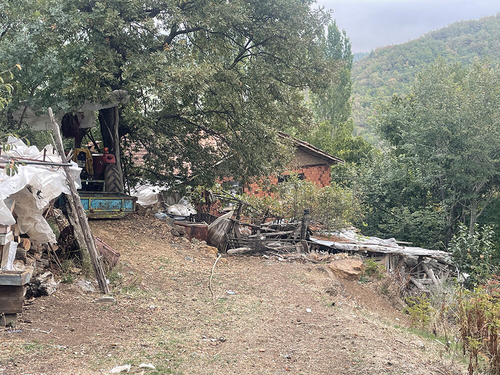 Bursa'da dehşet evi! 16 yaşındaki cani balta ile 3 kişiyi öldürdü - 2. Resim