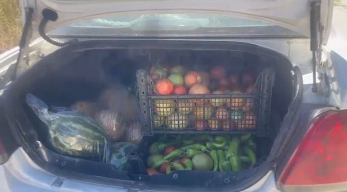 Marketteki fiyat vatandaşı tarlaya itti! Fiyatı duyan koştu - 4. Resim