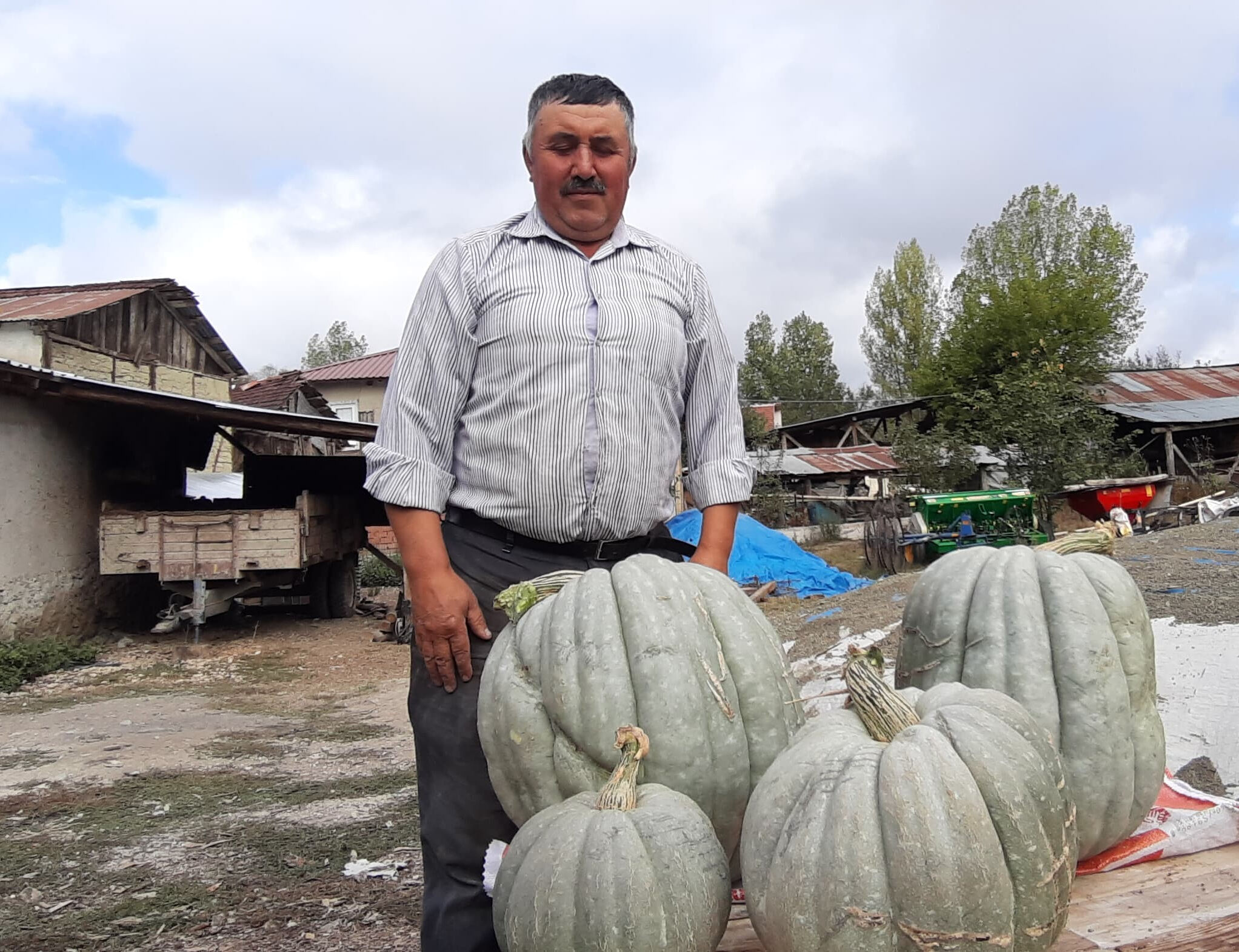 Bir gören bir daha bakıyor! Bolu'da üretilen dev kabak şaşkına çevirdi - 3. Resim