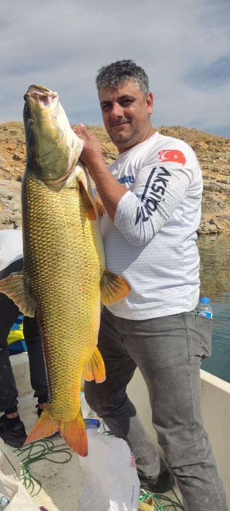 Elazığ'da oltaya takıldı! Tam olarak 38 kilo Elazığ'da oltaya takıldı! Tam olarak 38 kilo - 1. Resim