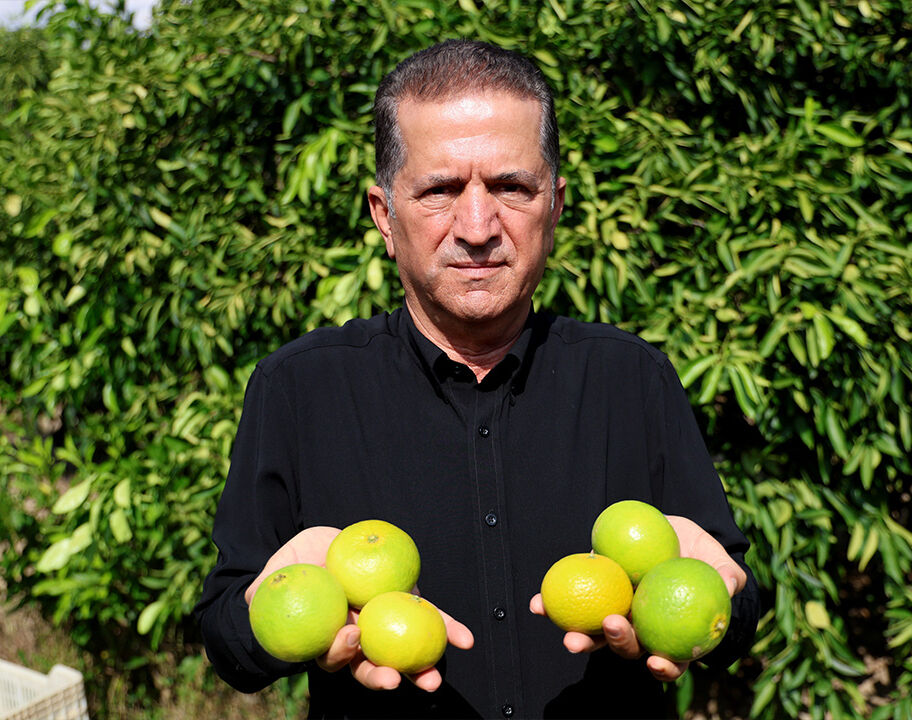 Geçen yılın altında kaldı! Adana'da mandalinadan üzücü haber; 500 bin ton verim bekleniyor - 2. Resim
