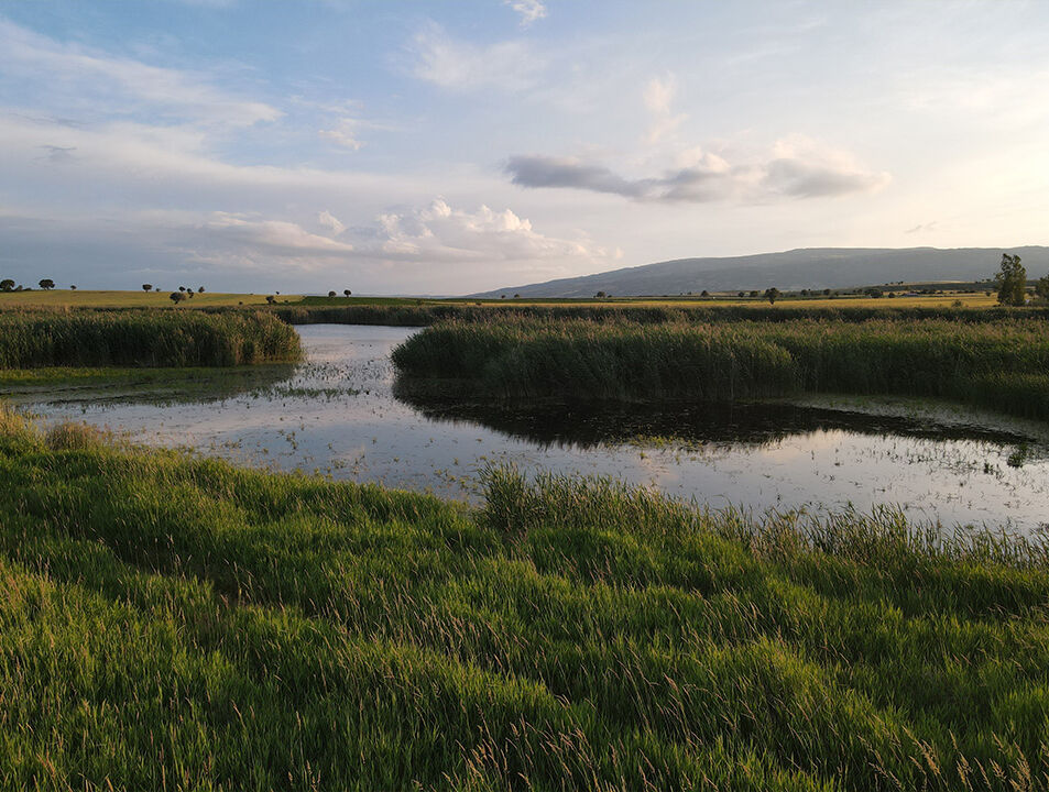 Kuraklık kuş cennetinin sonunu getirdi! Çorum'daki Gölünyazı Milli Parkı'nın hali görenleri şaşırttı - 2. Resim