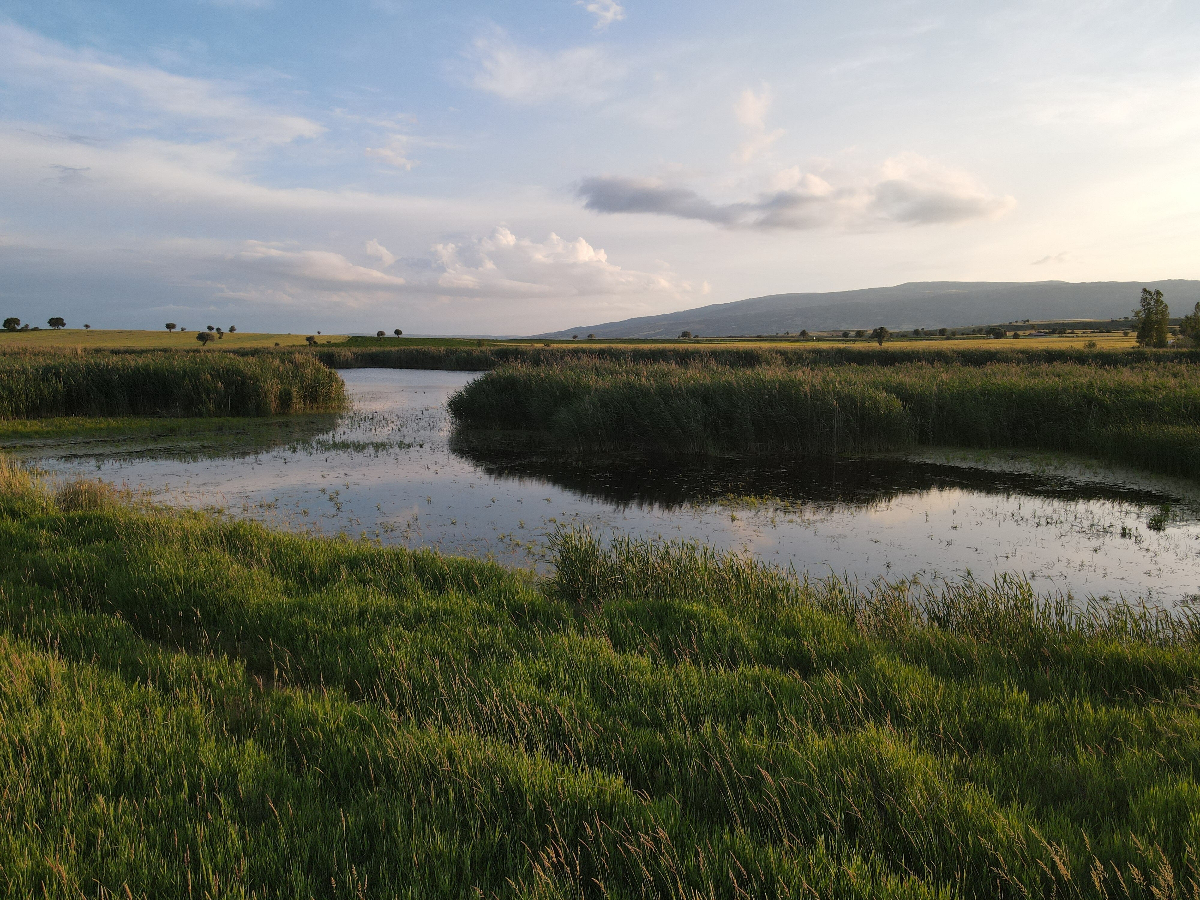 Kuş cennetinde bir damla su kalmadı! Gölünyazı'da feci görüntü - 3. Resim
