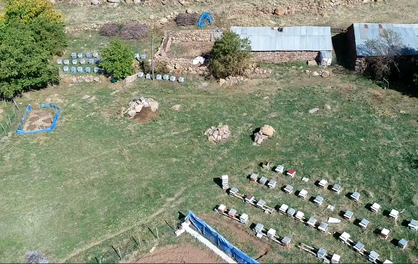 1 kovanla başladı 1 ton bal hasadı yaptı! Köyde tek başına üretiyor, yurt dışına gönderiyor - 2. Resim