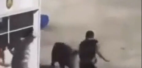 Yaban domuzu Sarıyer'de işçilere saldırdı! Vahşi hayvan bir işçiyi ısırırken, diğerleri damacana ve süpürge ile domuza vurdu - 1. Resim