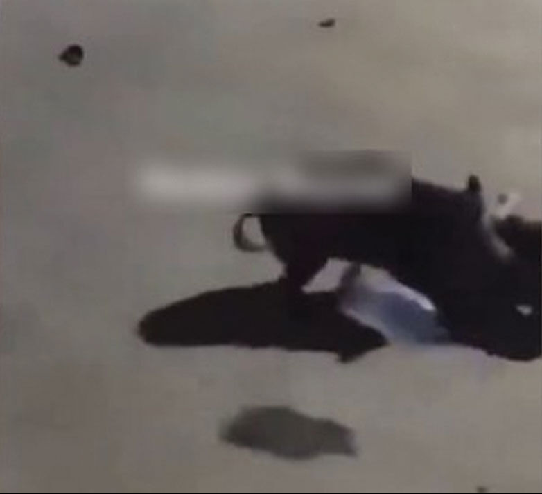 Yaban domuzu Sarıyer'de işçilere saldırdı! Vahşi hayvan bir işçiyi ısırırken, diğerleri damacana ve süpürge ile domuza vurdu - 2. Resim