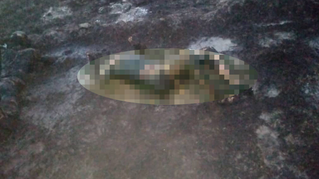 Nijerya'da akaryakıt tankeri patladı! 147 kişi feci şekilde can verdi Nijerya'da akaryakıt tankeri patladı! 94 kişi feci şekilde can verdi - 2. Resim