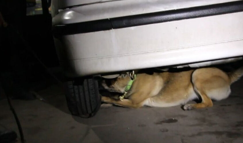 Aracından 6 kilogram uyuşturucu çıktı, 