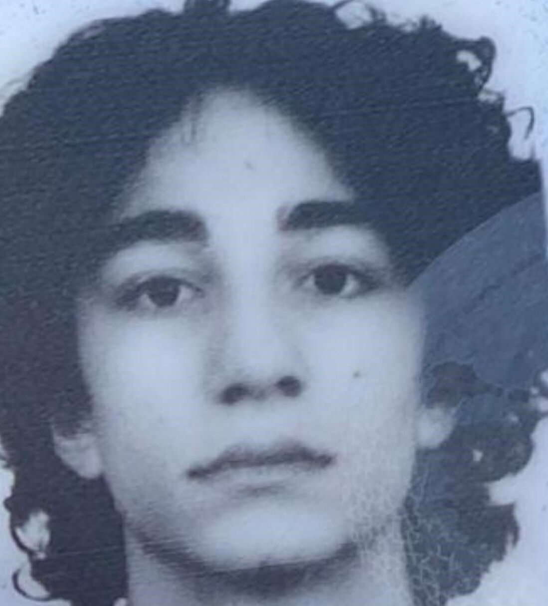 Semih Çelik'in hastane raporları çıktı! Katliam resmen göz göre göre gelmiş - 1. Resim