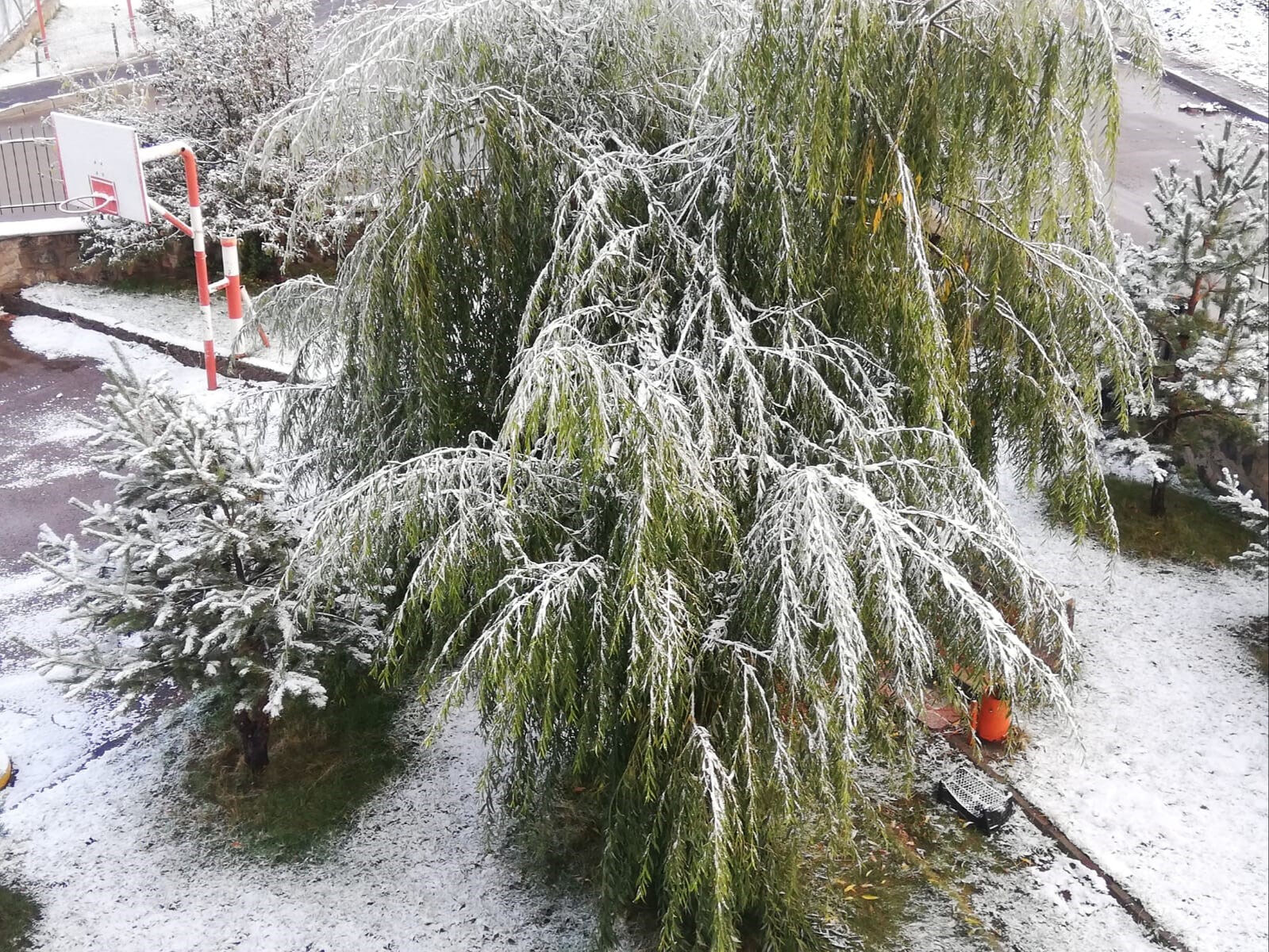 Erzurum şehir merkezine mevsimin ilk karı yağdı - 2. Resim