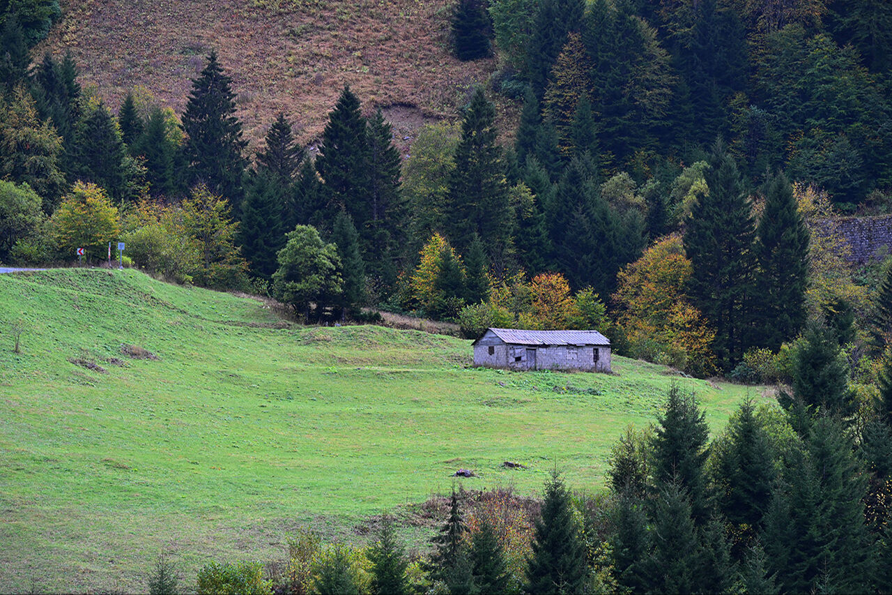 Zigana Dağı sonbaharda fotoğraf tutkunları için eşsiz kareler sunuyor - 4. Resim