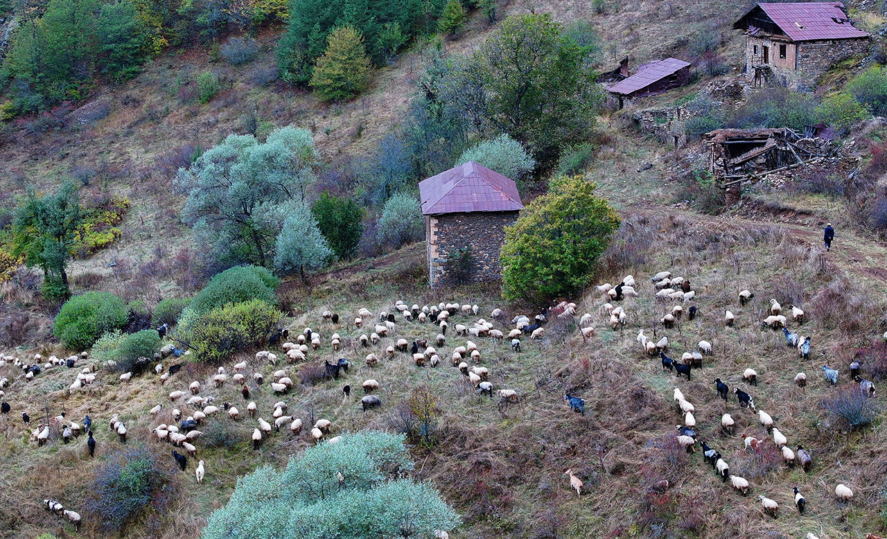 Zigana Dağı sonbaharda fotoğraf tutkunları için eşsiz kareler sunuyor - 3. Resim