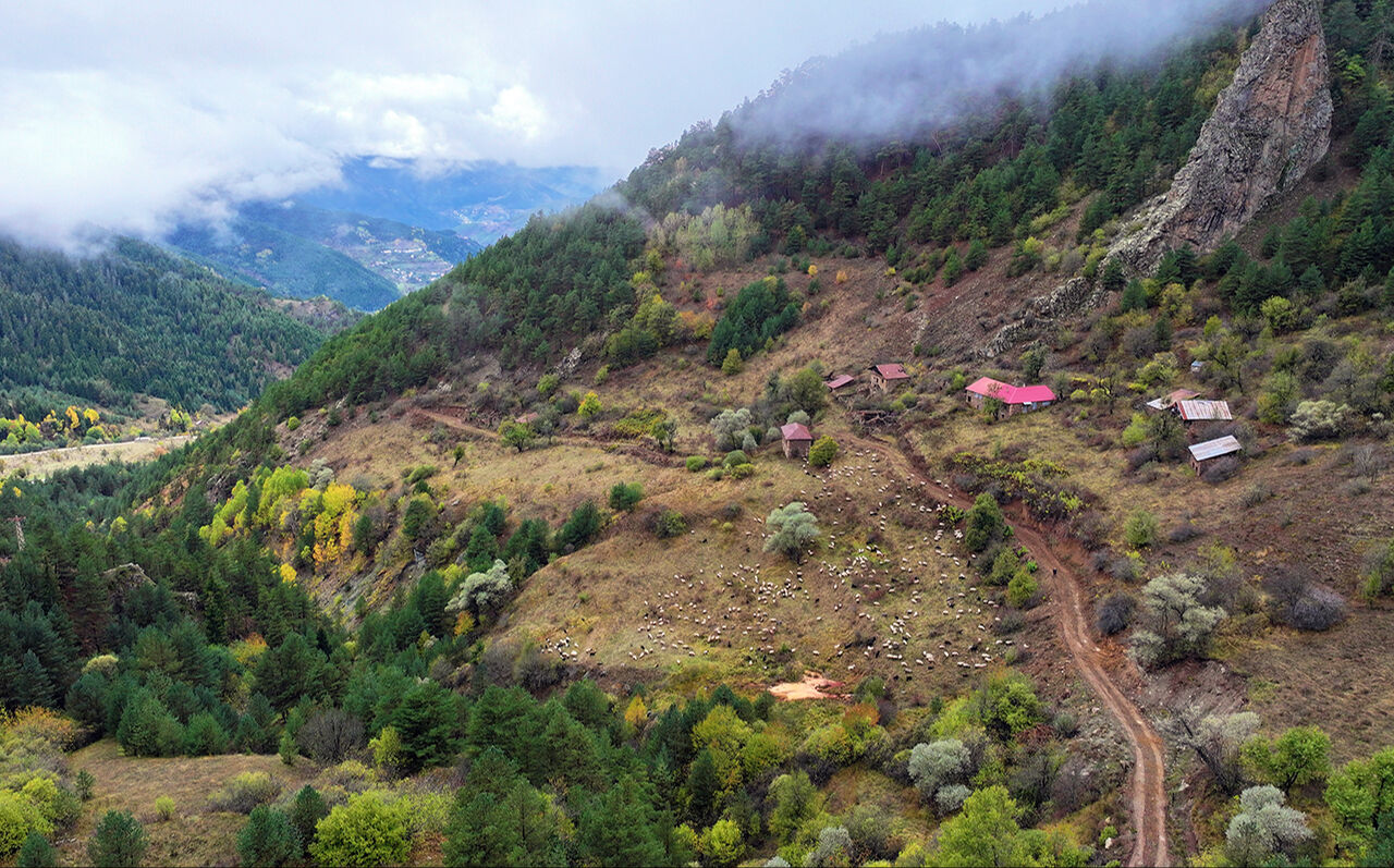 Zigana Dağı sonbaharda fotoğraf tutkunları için eşsiz kareler sunuyor - 1. Resim