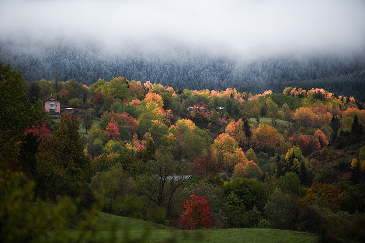 Arşivlik kareler | Mevsimler bir arada! Artvin kar yağışı bütün renkleri ortaya çıkardı - 7. Resim