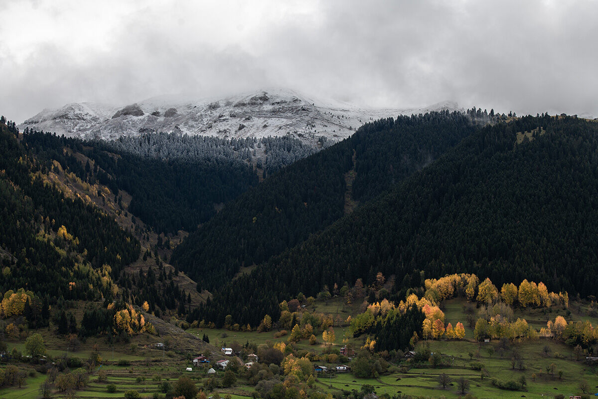 Arşivlik kareler | Mevsimler bir arada! Artvin kar yağışı bütün renkleri ortaya çıkardı - 9. Resim