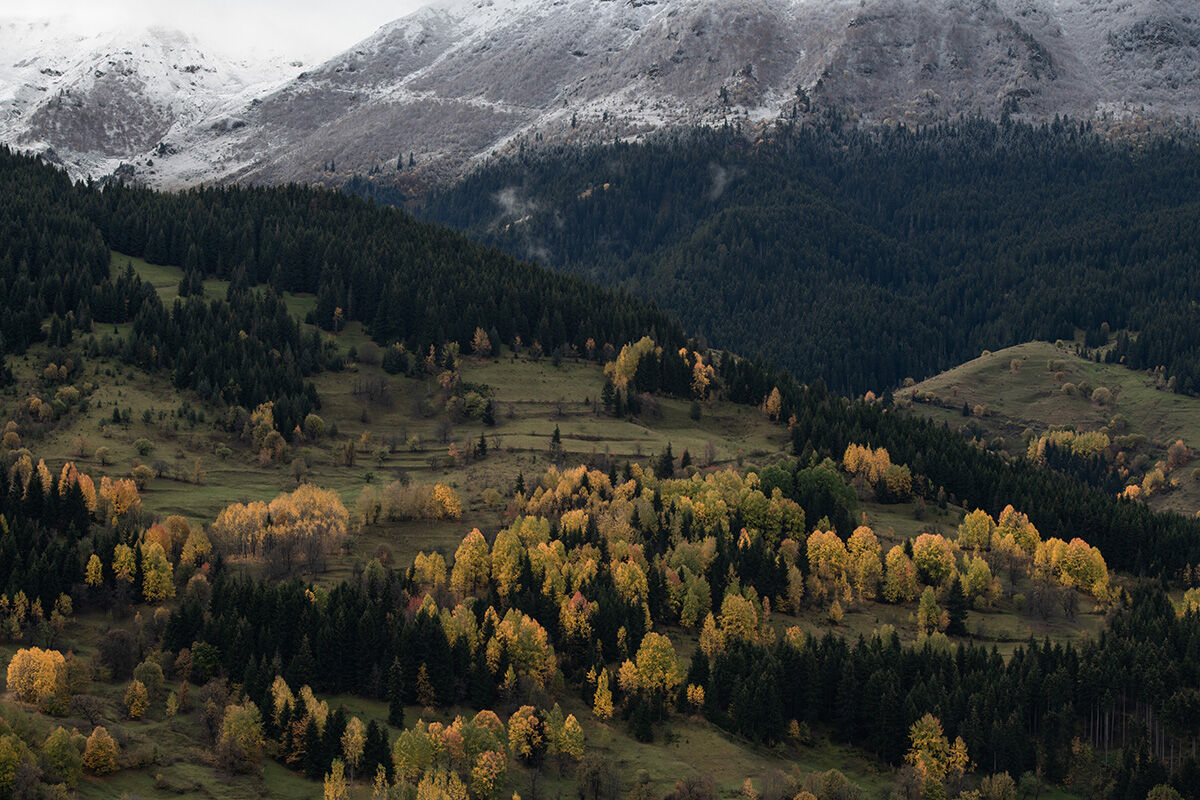 Arşivlik kareler | Mevsimler bir arada! Artvin kar yağışı bütün renkleri ortaya çıkardı - 8. Resim