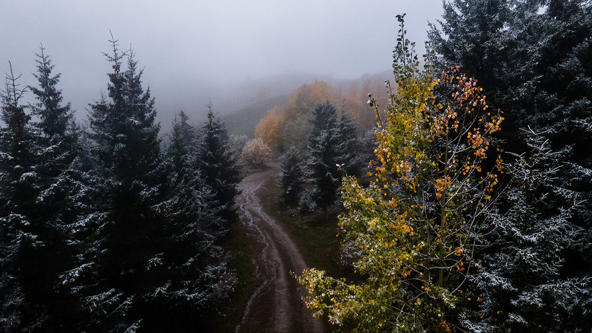 Arşivlik kareler | Mevsimler bir arada! Artvin kar yağışı bütün renkleri ortaya çıkardı - 6. Resim