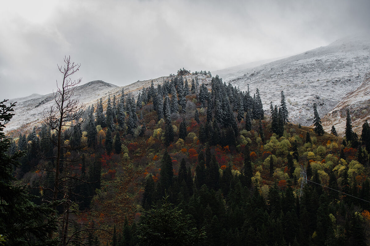 Arşivlik kareler | Mevsimler bir arada! Artvin kar yağışı bütün renkleri ortaya çıkardı - 10. Resim