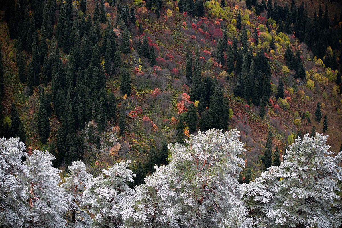 Arşivlik kareler | Mevsimler bir arada! Artvin kar yağışı bütün renkleri ortaya çıkardı - 2. Resim
