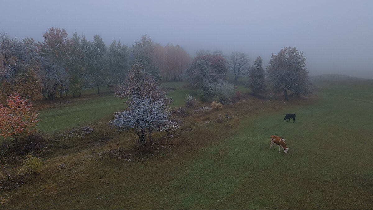 Arşivlik kareler | Mevsimler bir arada! Artvin kar yağışı bütün renkleri ortaya çıkardı - 4. Resim