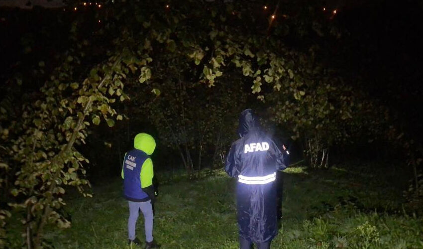 Kestane toplamaya diye evden çıktı, cansız bedeni bulundu - 1. Resim