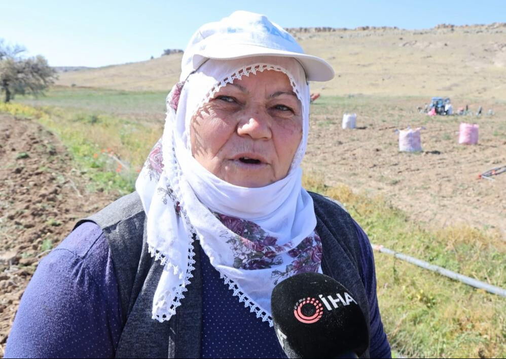 Hasat başladı! Tarlada 2 lira olan patates tezgahta 15 liradan satıldı - 2. Resim