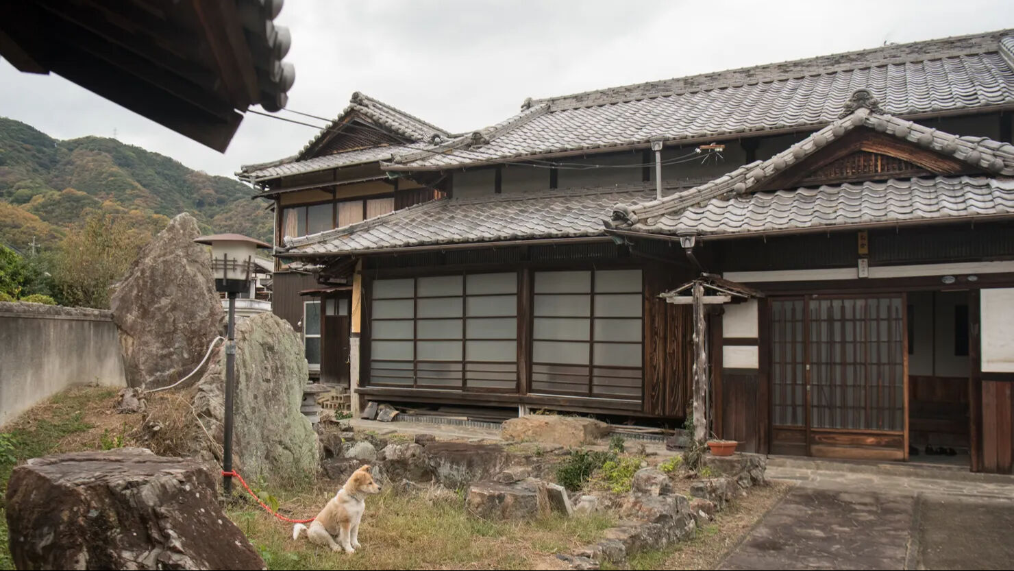 ABD'den Japonya'ya taşındılar! Terk edilmiş evi baştan aşağı yenilediler - 6. Resim