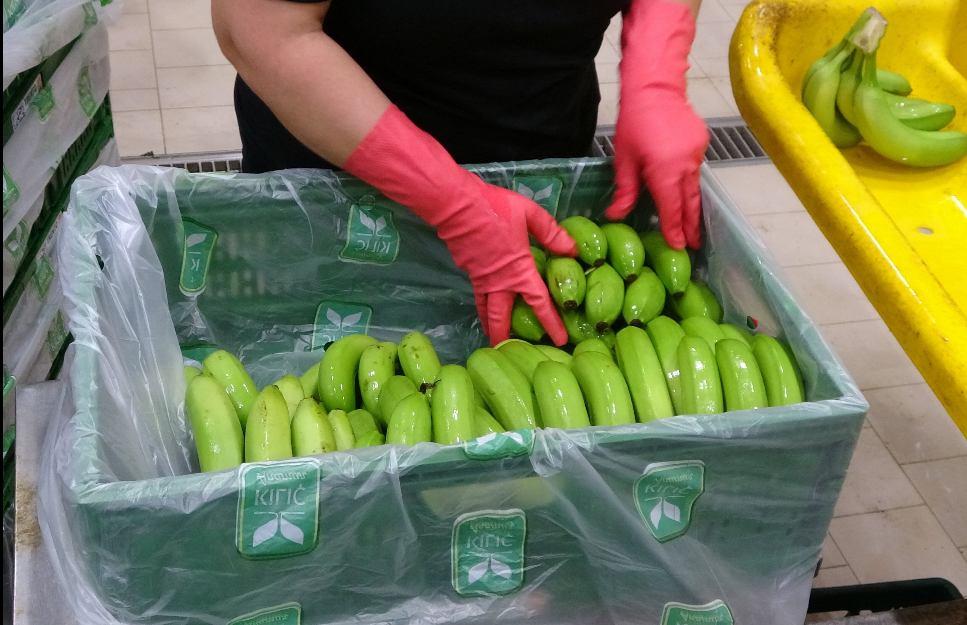 Bahçede 30 TL! Mersin'de muz hasadı erken başladı - 2. Resim