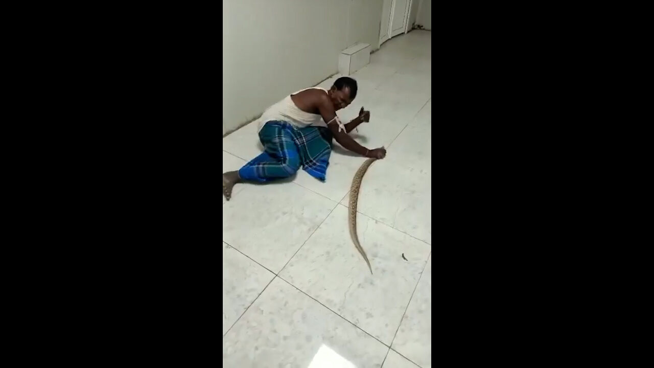Hindistan’da akılalmaz olay! Yılanı boynuna sarıp hastaneye gitti - 2. Resim