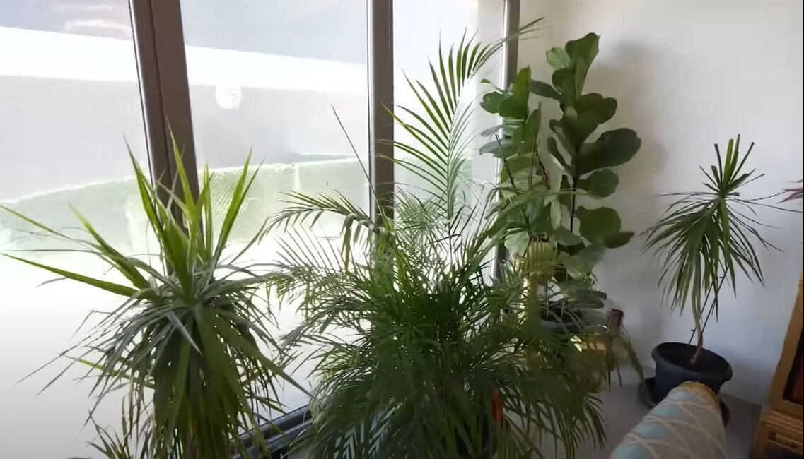 Serpil Çakmaklı 3+1 evinin kapılarını açtı! 'Altın' detayı dikkat çekti Serpil Çakmaklı 3+1 evinin kapılarını açtı! 'Altın' detayı dikkat çekti - 4. Resim