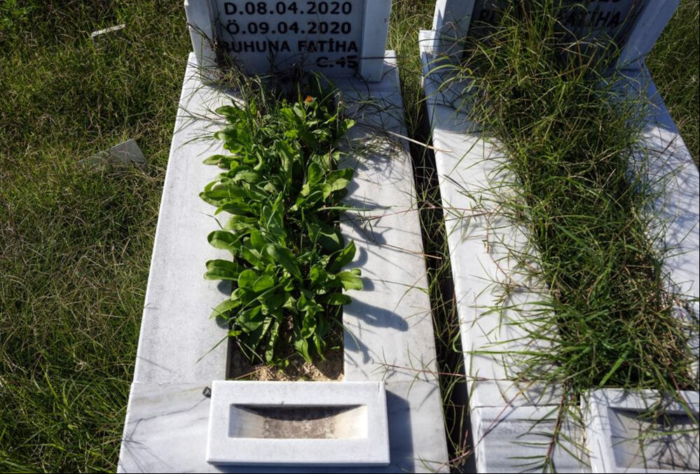 Yenidoğan çetesinin öldürdüğü bebekler Büyükçekmece'deki mezarlıkta mı? Bebek mezarlıkları görüntülendi - 3. Resim