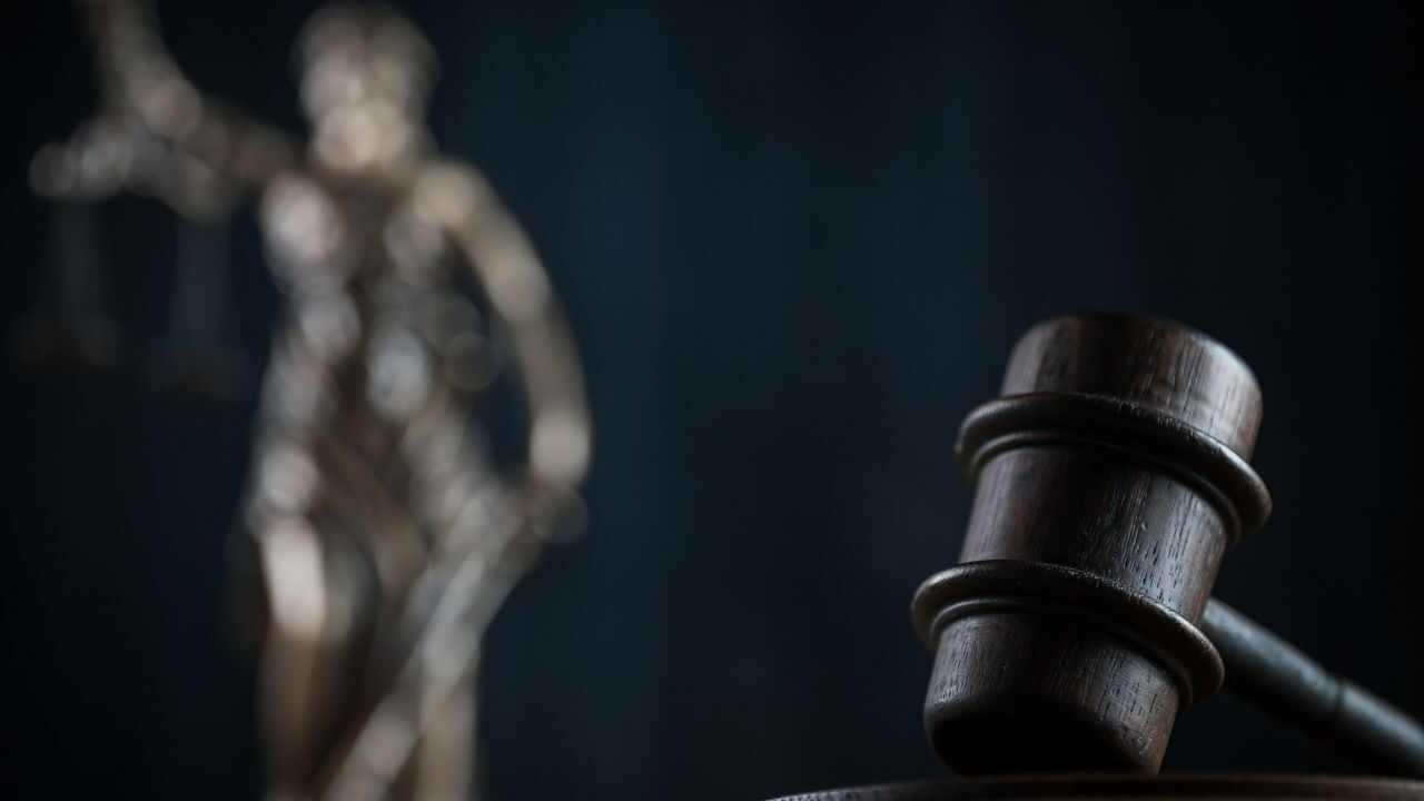 Bahçeli'den teröristbaşı Abdullah Öcalan'a 'umut hakkı' önerisi: Umut hakkından kimler yararlanabilir? - 2. Resim