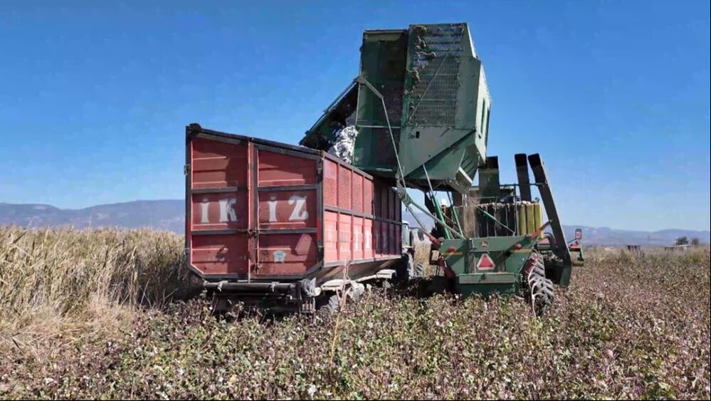 Denizli'de beyaz altın hasadı başladı! Türkiye, dünyada 6. sırada - 2. Resim