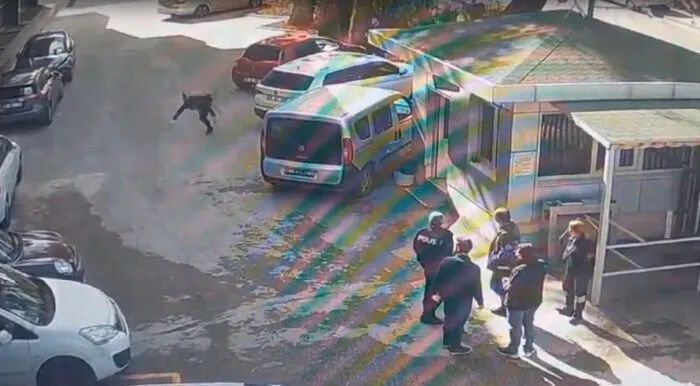 HKS Müfettişi bıçaklı saldırıya uğradı! Mehmet Aslan kimdir? - 3. Resim