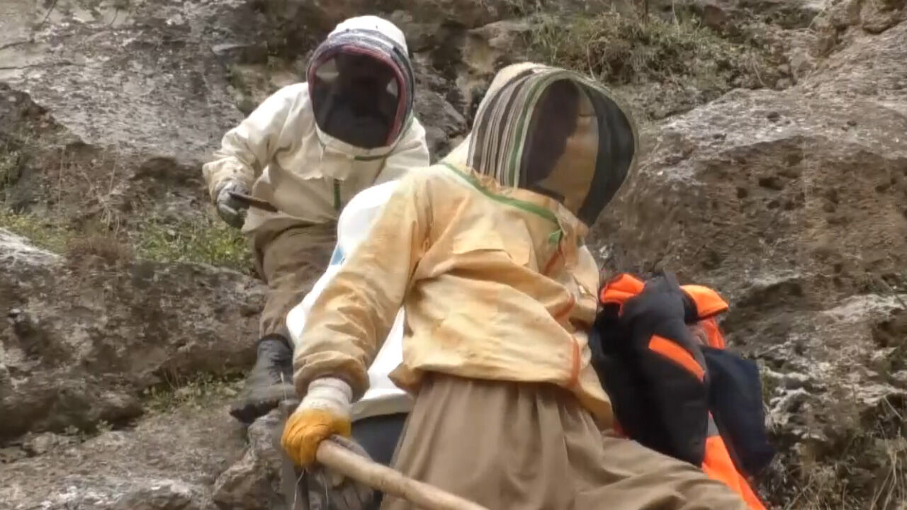 Kilogramı 5 bin lira! Hakkari'de bu bal için 29 yıl sonra dağı taşı aradılar Kilogramı 5 bin lira! Hakkari'de bu bal için 29 yıl sonra dağı taşı aradılar - 1. Resim