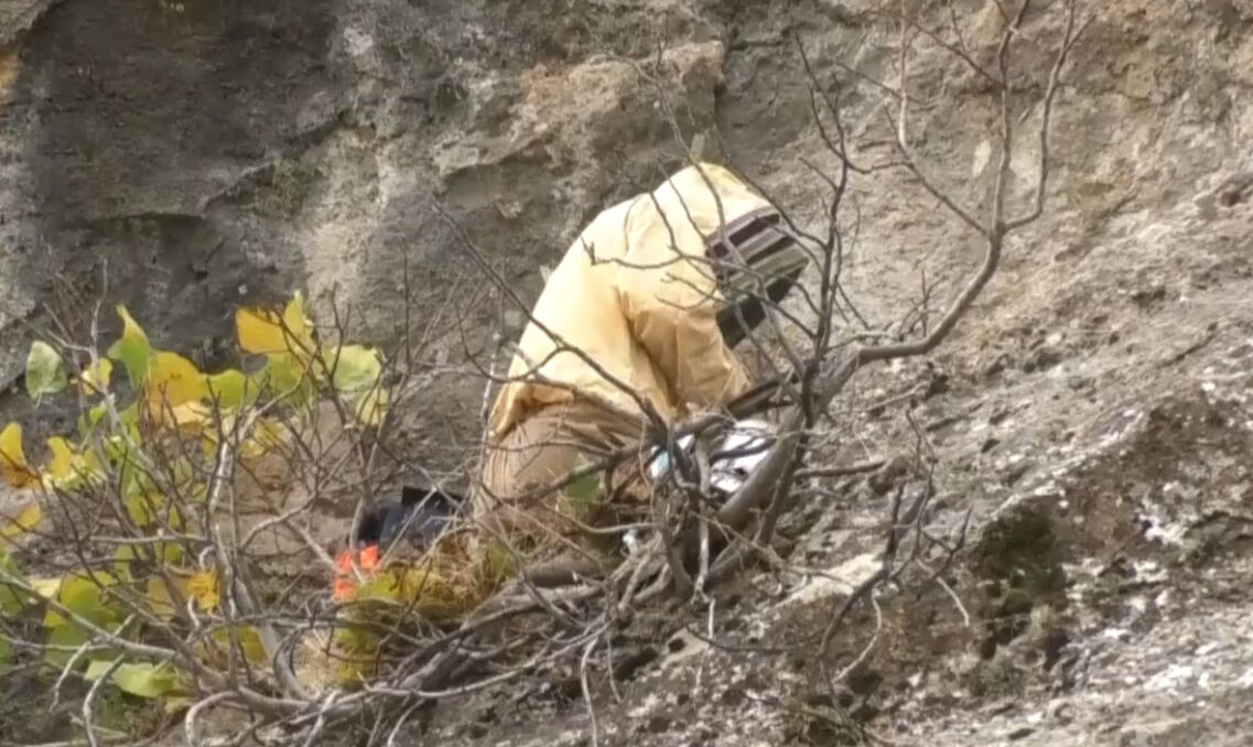 Kilogramı 5 bin lira! Hakkari'de bu bal için 29 yıl sonra dağı taşı aradılar Kilogramı 5 bin lira! Hakkari'de bu bal için 29 yıl sonra dağı taşı aradılar - 2. Resim