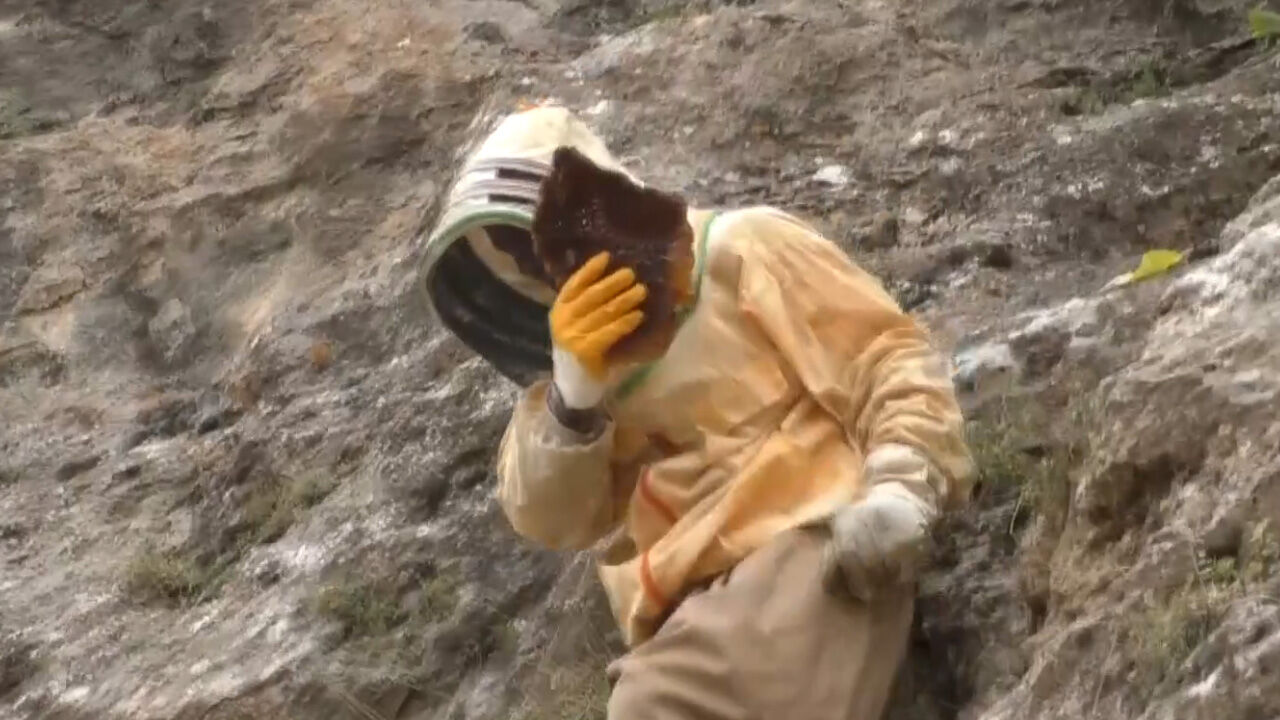 Kilogramı 5 bin lira! Hakkari'de bu bal için 29 yıl sonra dağı taşı aradılar Kilogramı 5 bin lira! Hakkari'de bu bal için 29 yıl sonra dağı taşı aradılar - 3. Resim