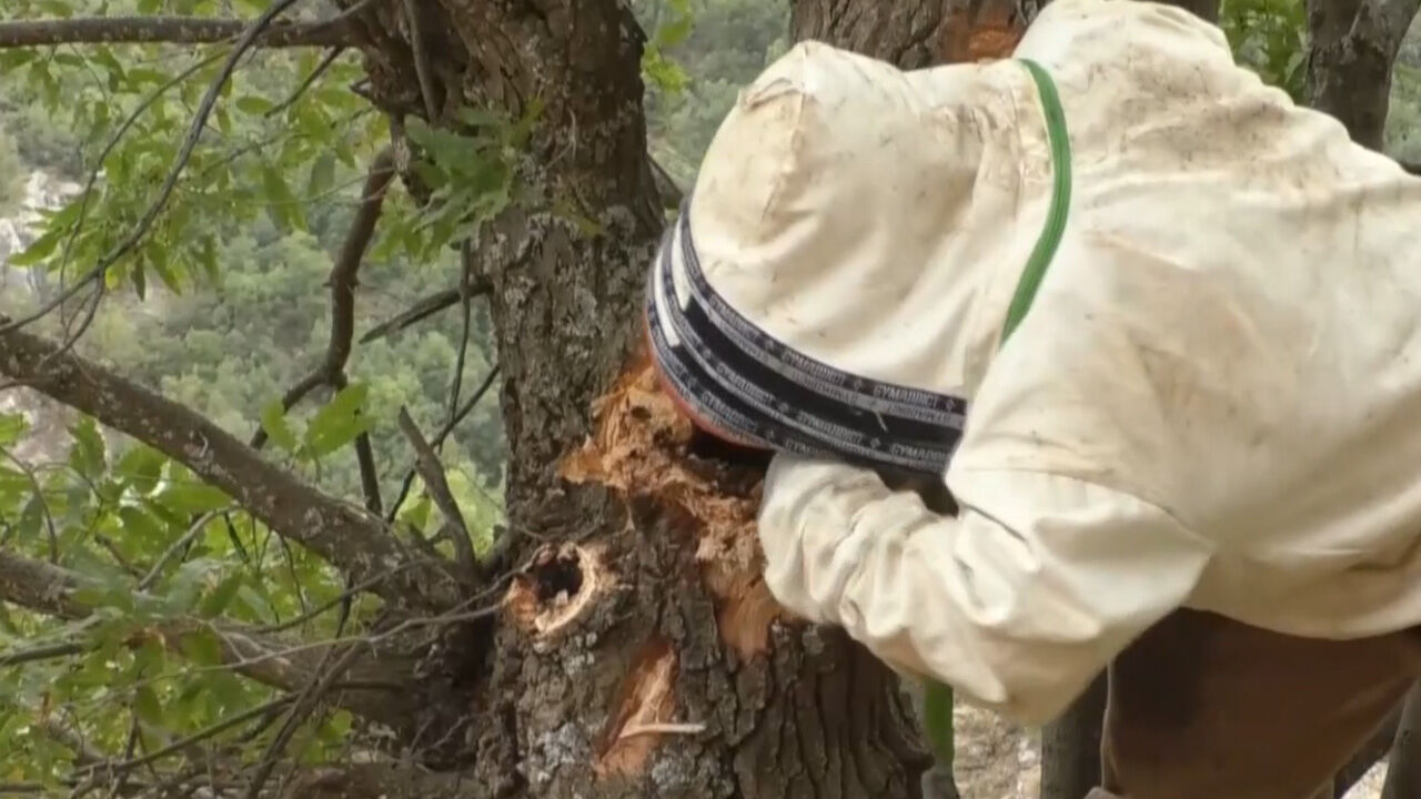 Kilogramı 5 bin lira! Hakkari'de bu bal için 29 yıl sonra dağı taşı aradılar Kilogramı 5 bin lira! Hakkari'de bu bal için 29 yıl sonra dağı taşı aradılar - 4. Resim