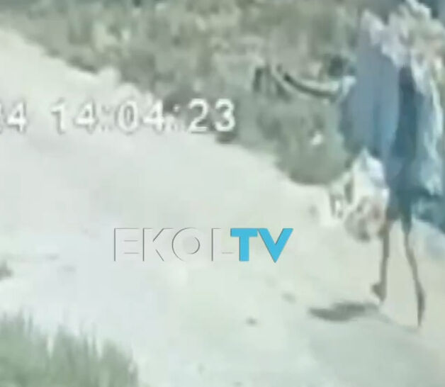 Canice katledilmişti! Narin Güran'ın ölmeden 1 saat önceki görüntüleri ortaya çıktı - 2. Resim