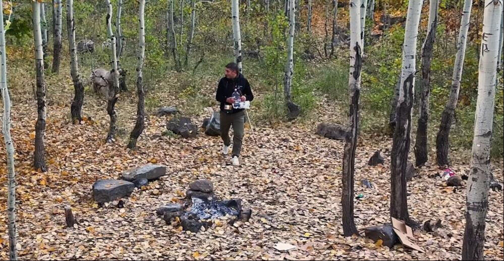 Kampçılara boz ayı şoku! 3'ü birden geldi, neye uğradıklarını şaşırdılar... - 4. Resim