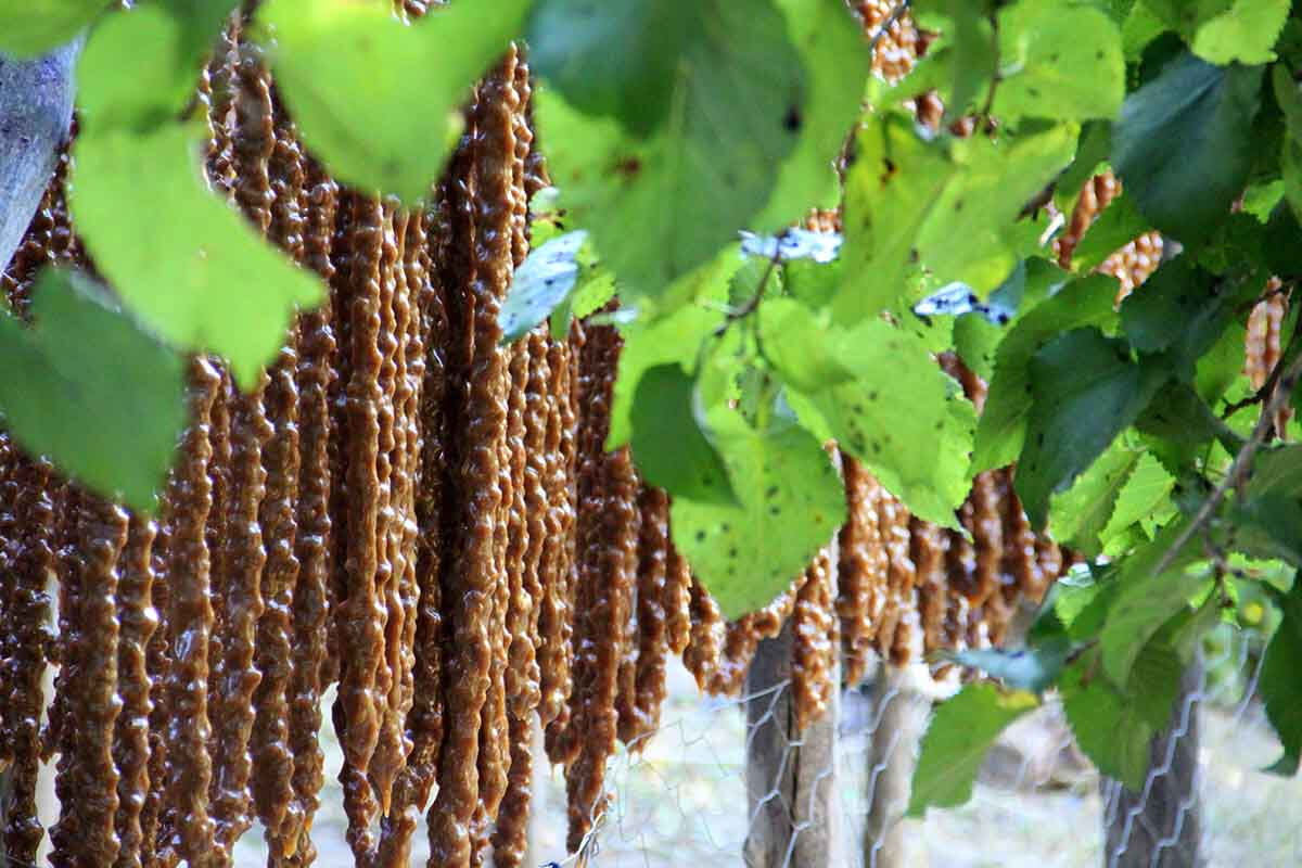 Kış aylarının vazgeçilmezi... Erzincan'da 'oricik' yapımına başlandı - 3. Resim